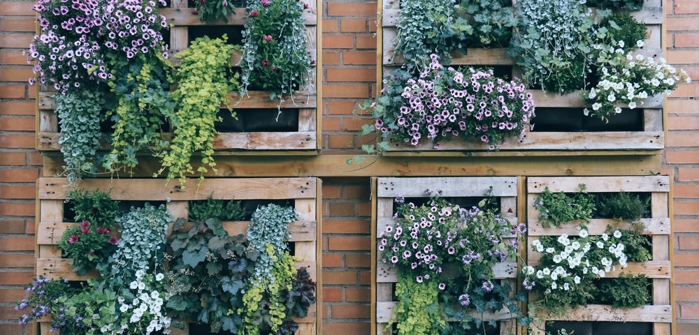 Landscaping Tips for Small Yards