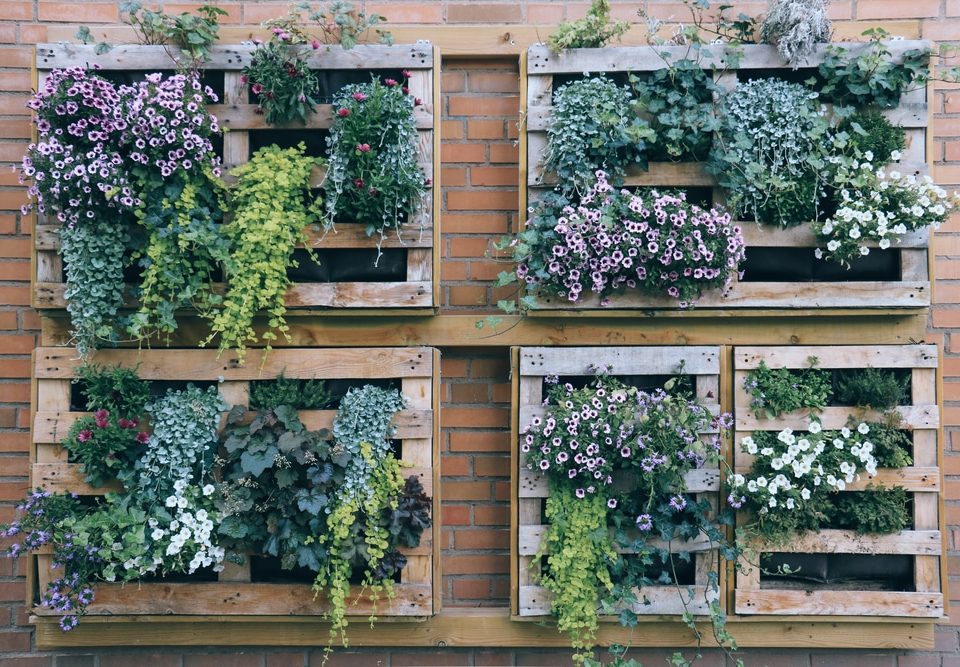 Landscaping Tips for Small Yards