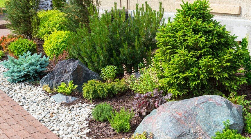 Rock vs Mulch