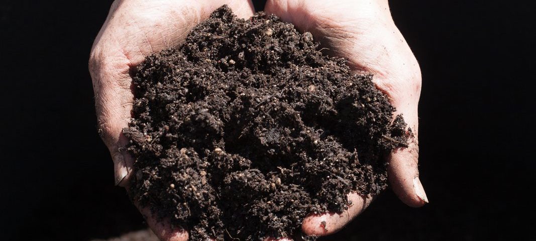 what is topsoil