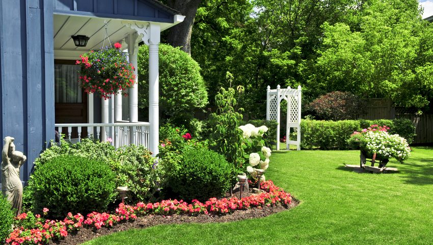 Summer Landscaping Tips Toronto
