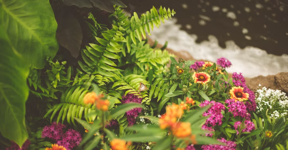 house-and-garden